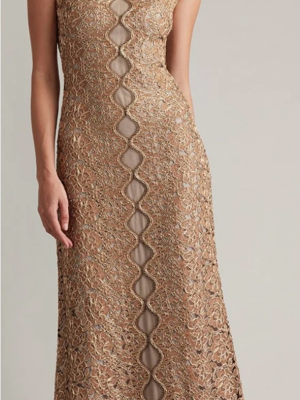 Tadashi Shoji Gold Lace Scalloped Illusion Maxi Gown